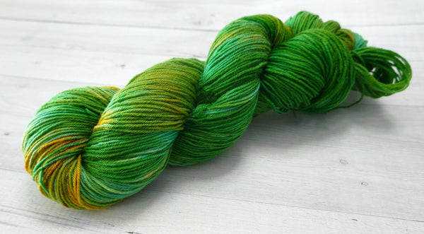 Lt. Broccoli - The Woolly Dragon