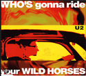 Wild Horses